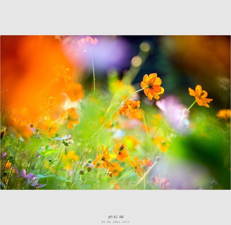 Photo 1053254