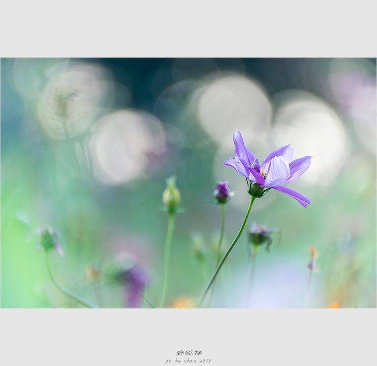 Photo 1053255