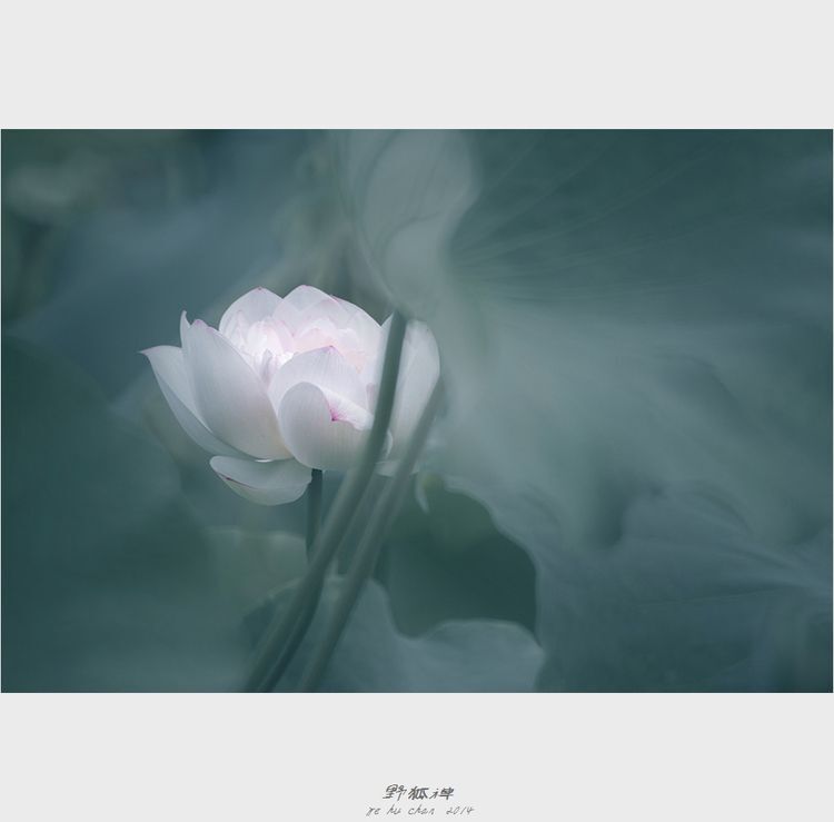 Photo 1053256