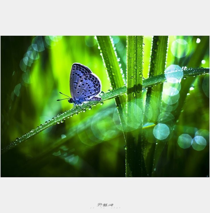 Photo 1053257