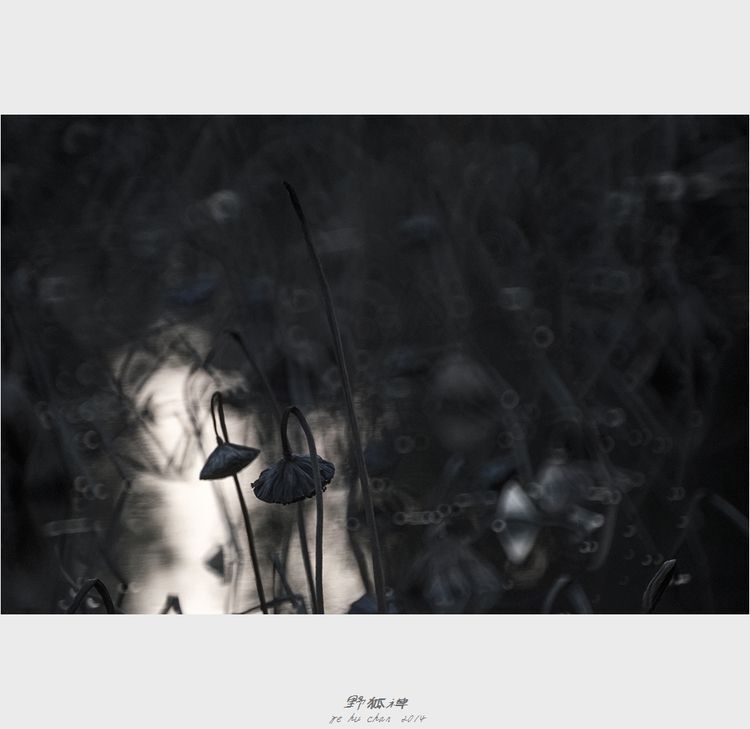 Photo 1053258