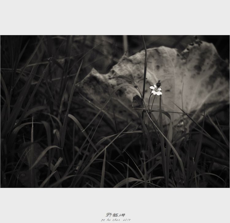 Photo 1053259