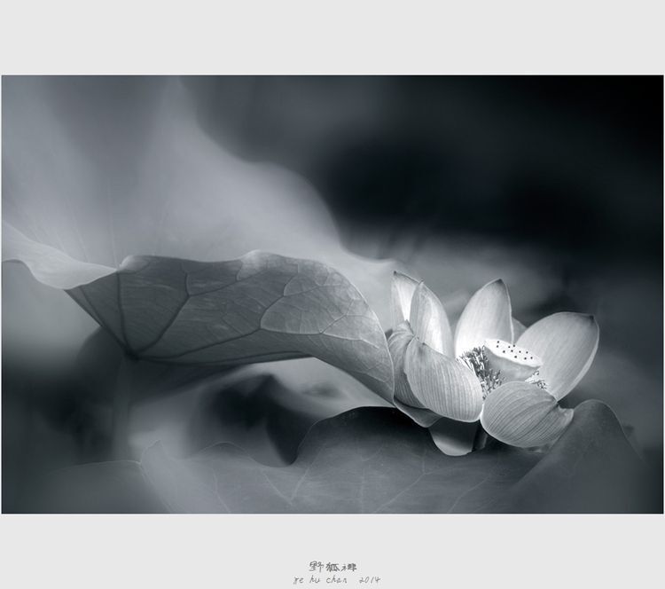 Photo 1053260