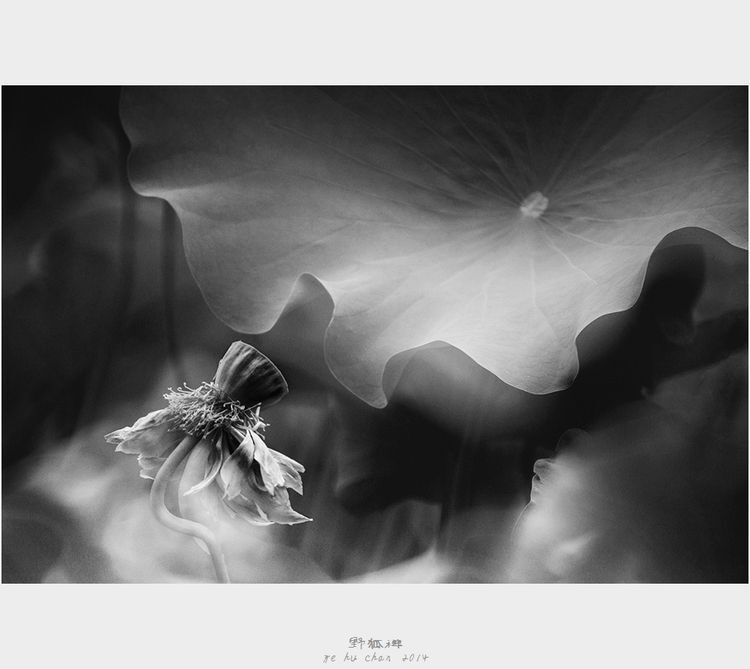 Photo 1053261