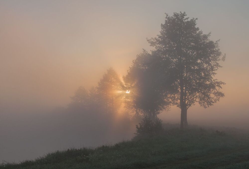 Photo 1053435