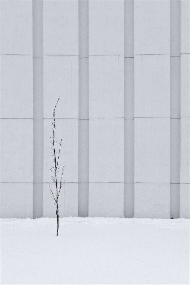 Minimalizm of Nature