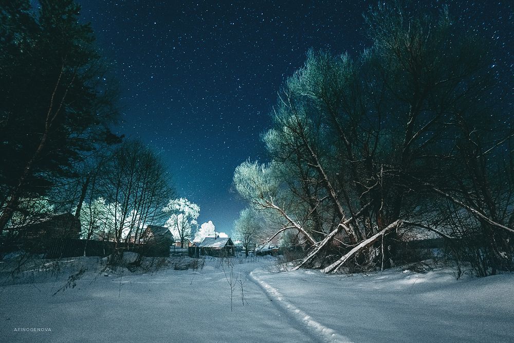 Пеновские ночи