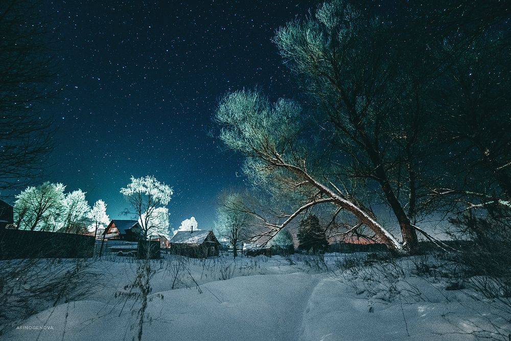 Пеновские ночи