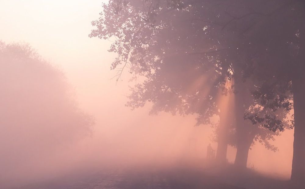 Попутчик.Мы иначе видим мир поутру...