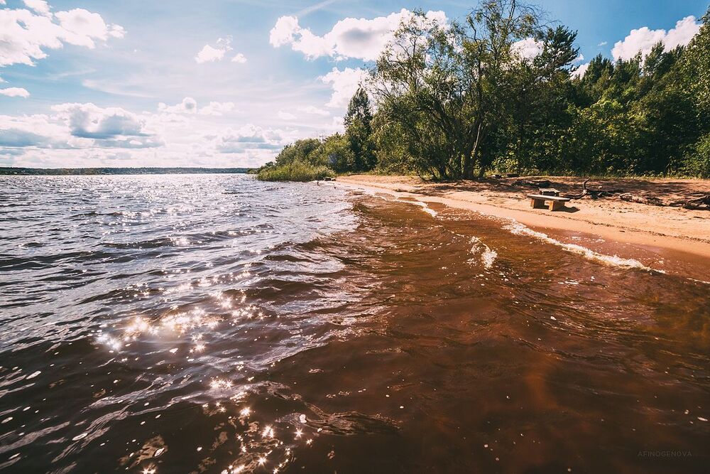 Летние зарисовки