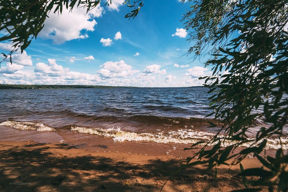 Летние зарисовки
