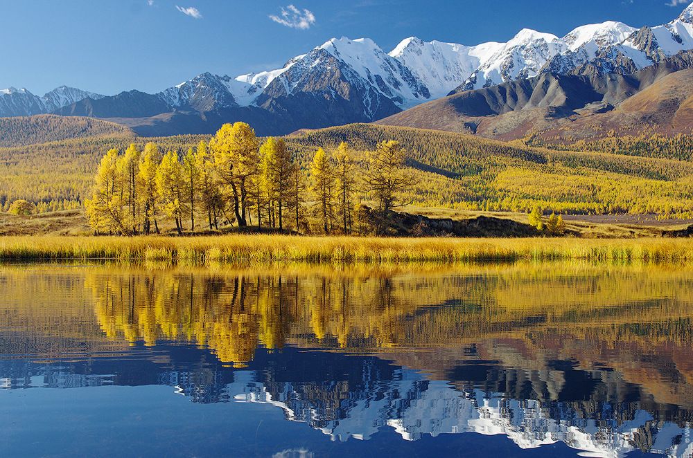 самые сливки