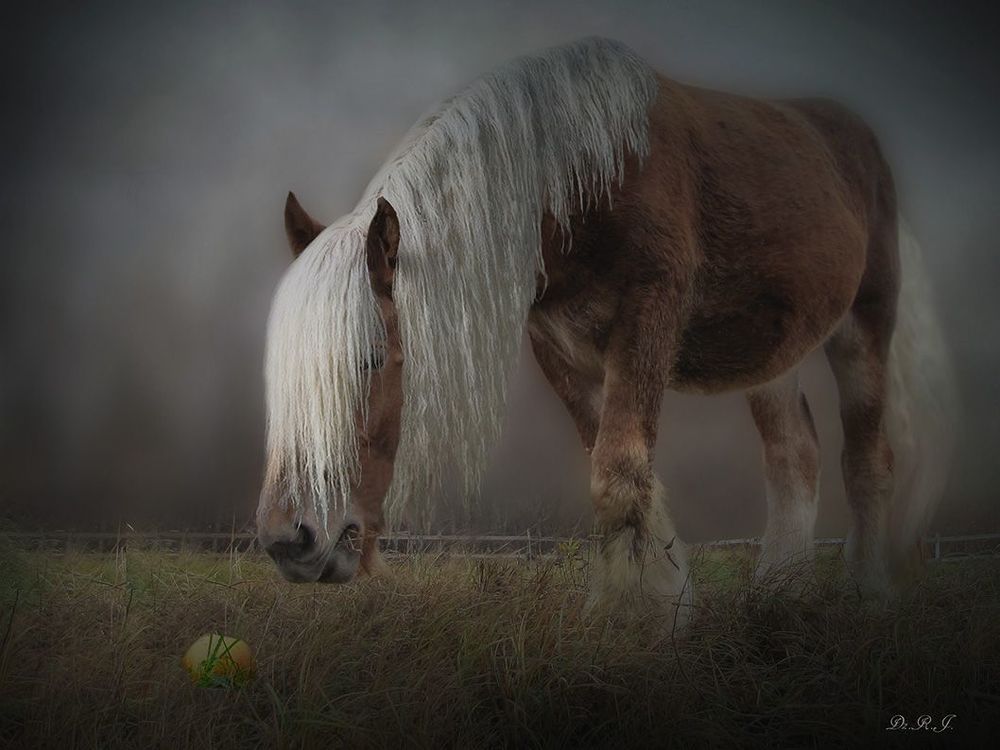 Photo 1054857