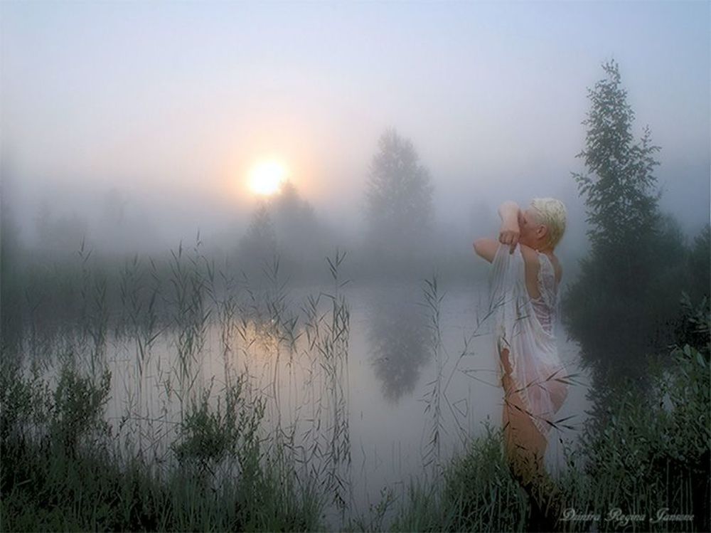 Photo 1054859