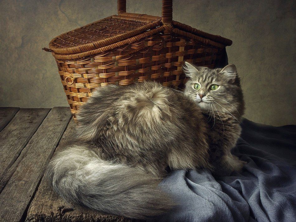 Оглянись во гневе.