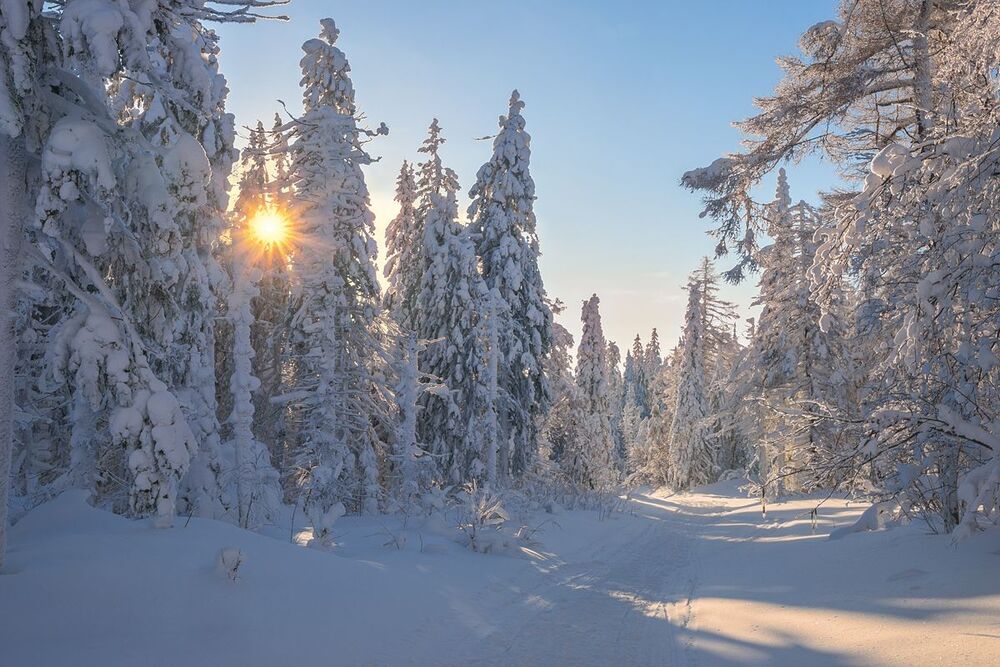 Морозно - солнечно