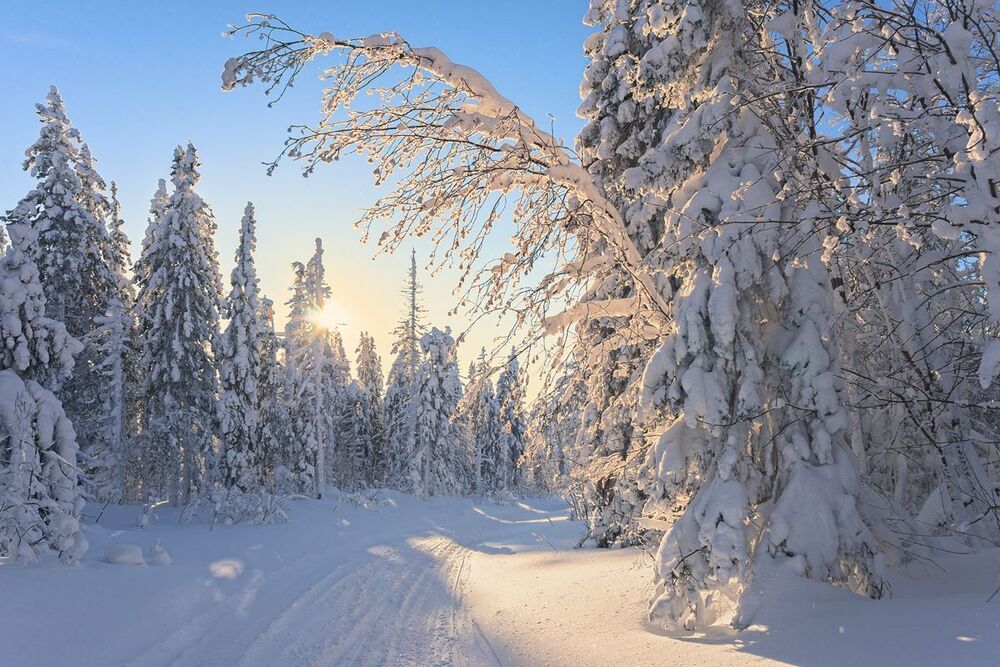 Морозно - солнечно