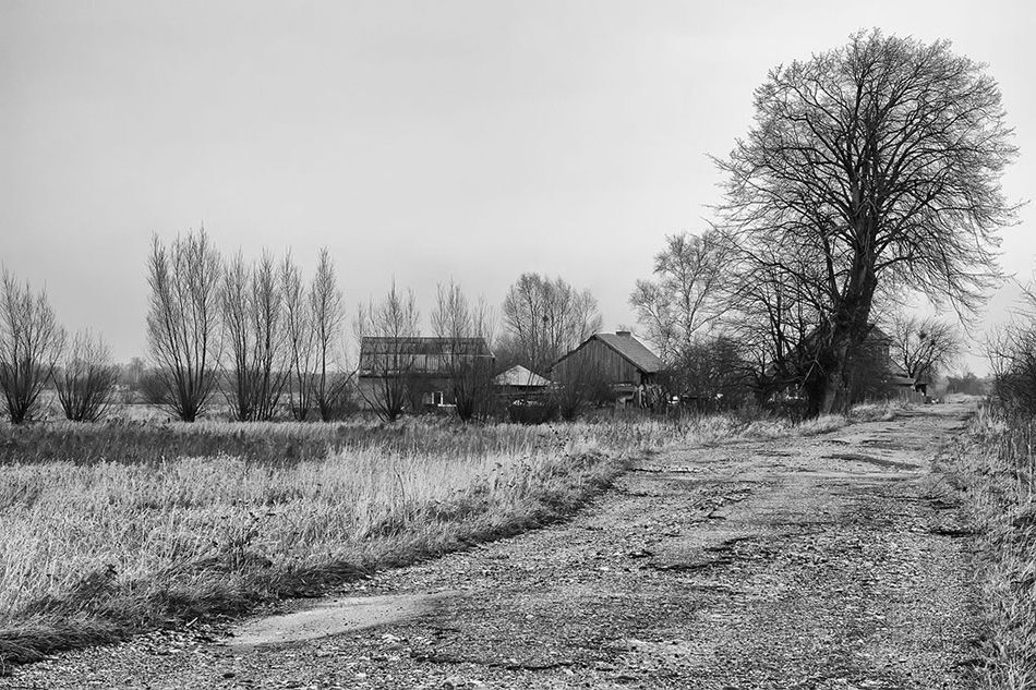 Photo 1056508