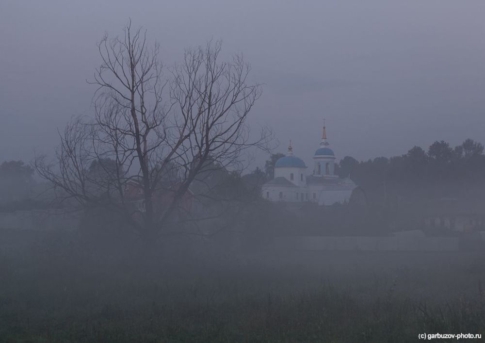 Когда красота быстротечна