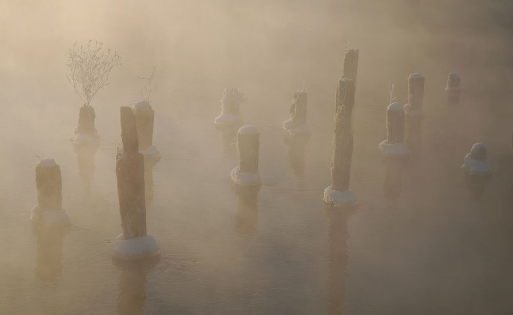 Photo 1056715
