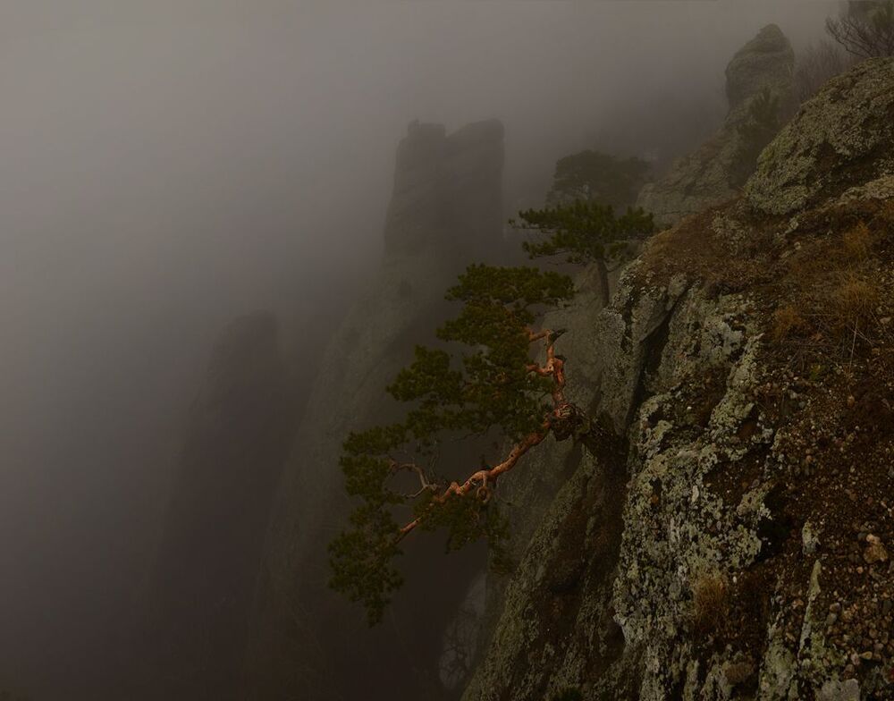 Photo 1057259