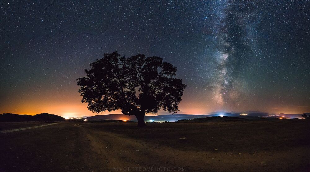 Into the Night