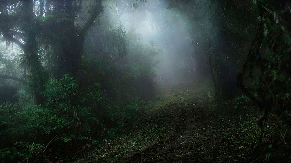 Photo 1057677