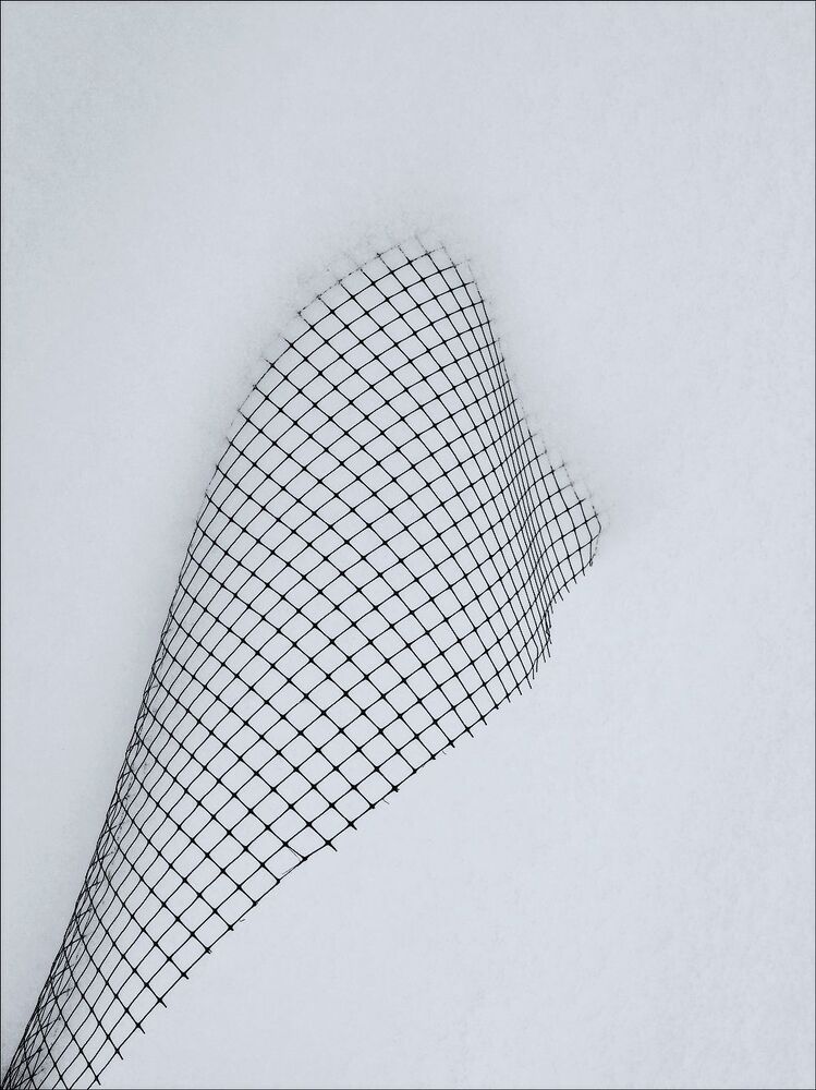Abstract fragments of winter