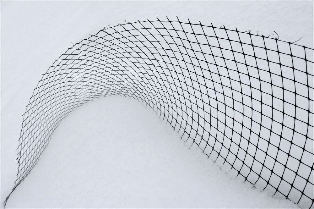 Abstract fragments of winter