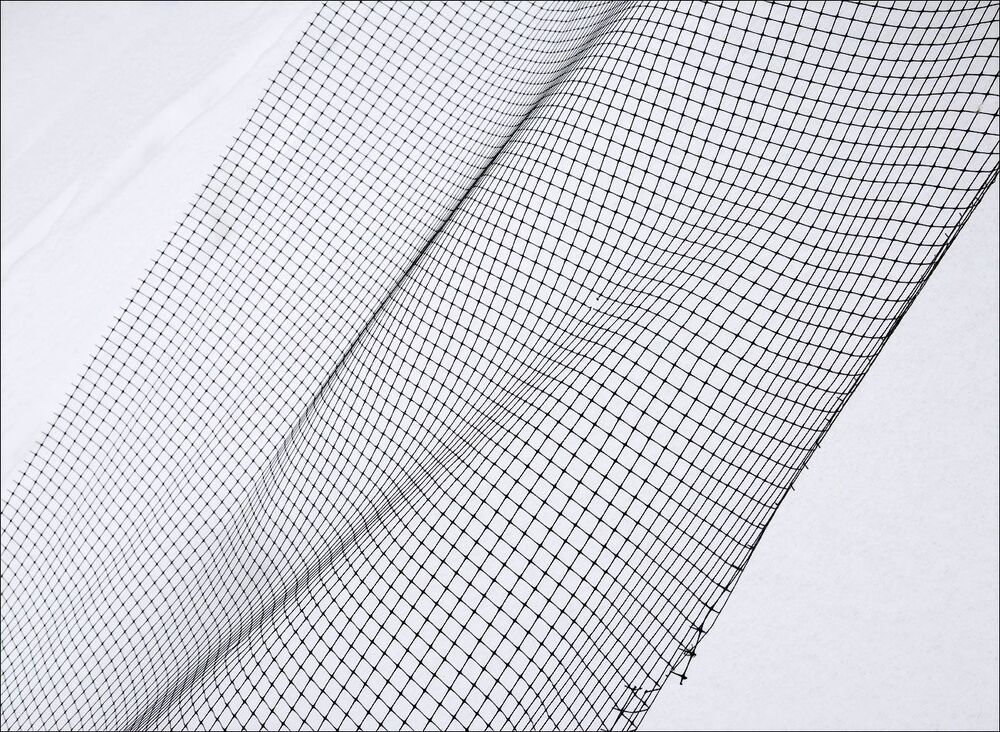 Abstract fragments of winter