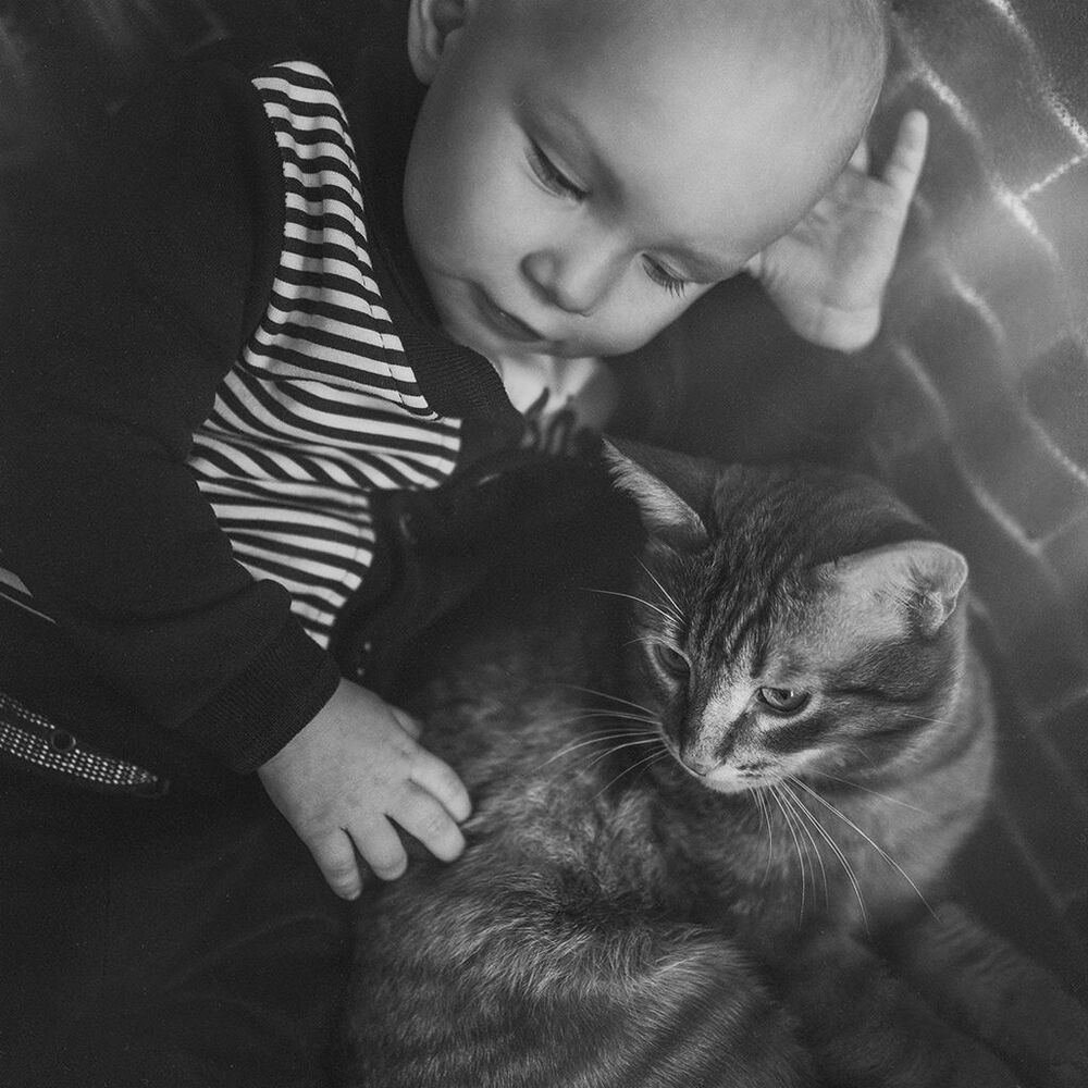 Photo 1058629