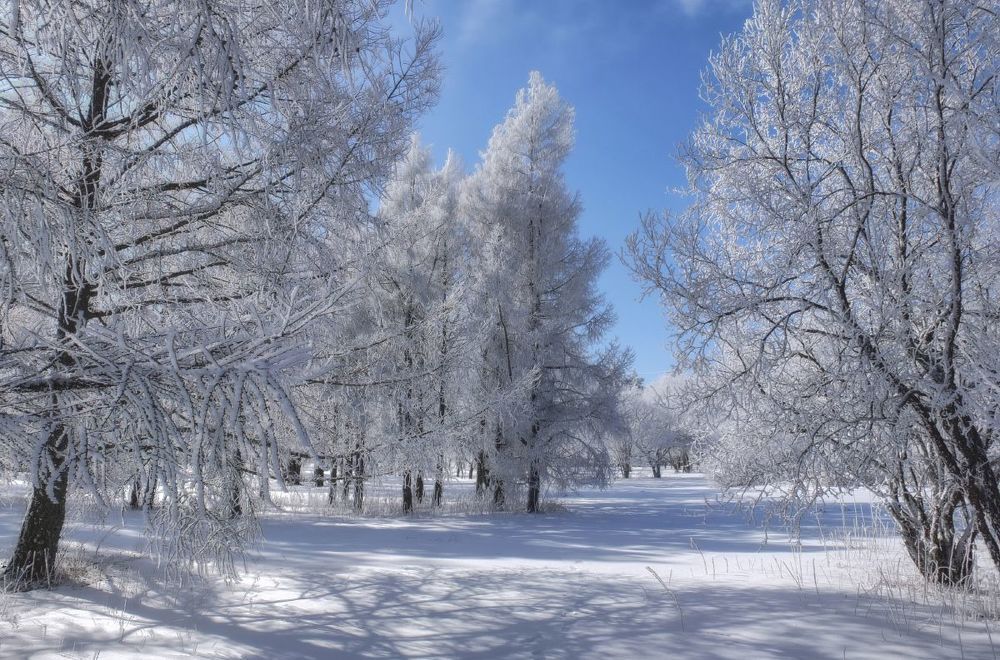 Прогулка в рабочий день