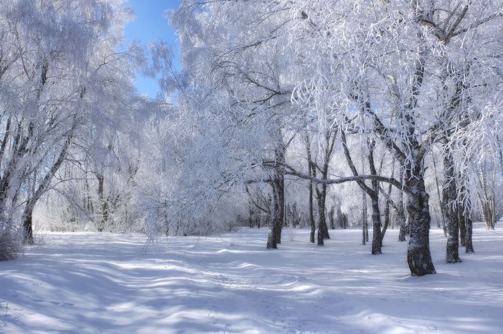 Прогулка в рабочий день