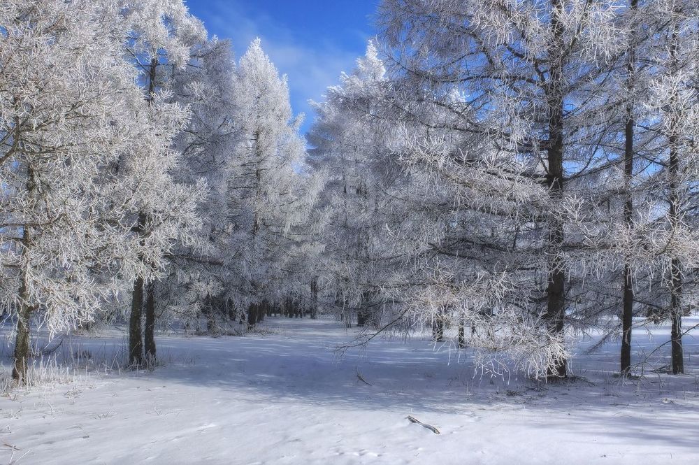 Прогулка в рабочий день