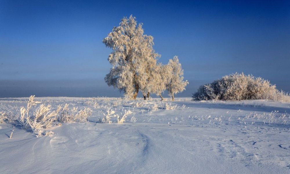 В степи