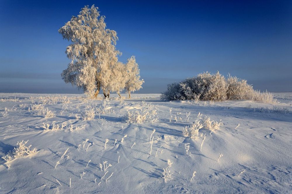 В степи