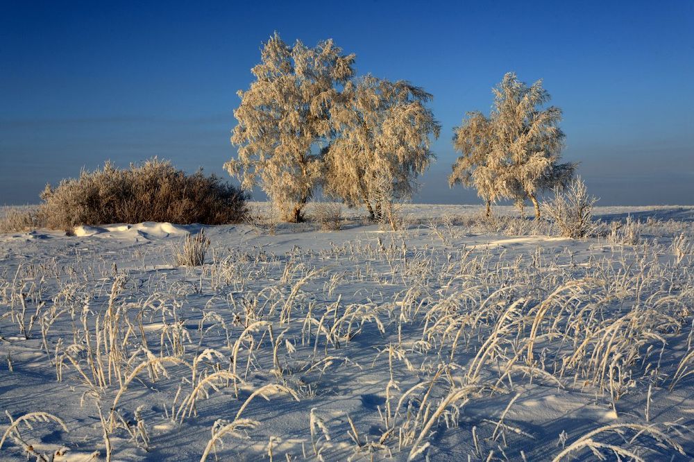 В степи