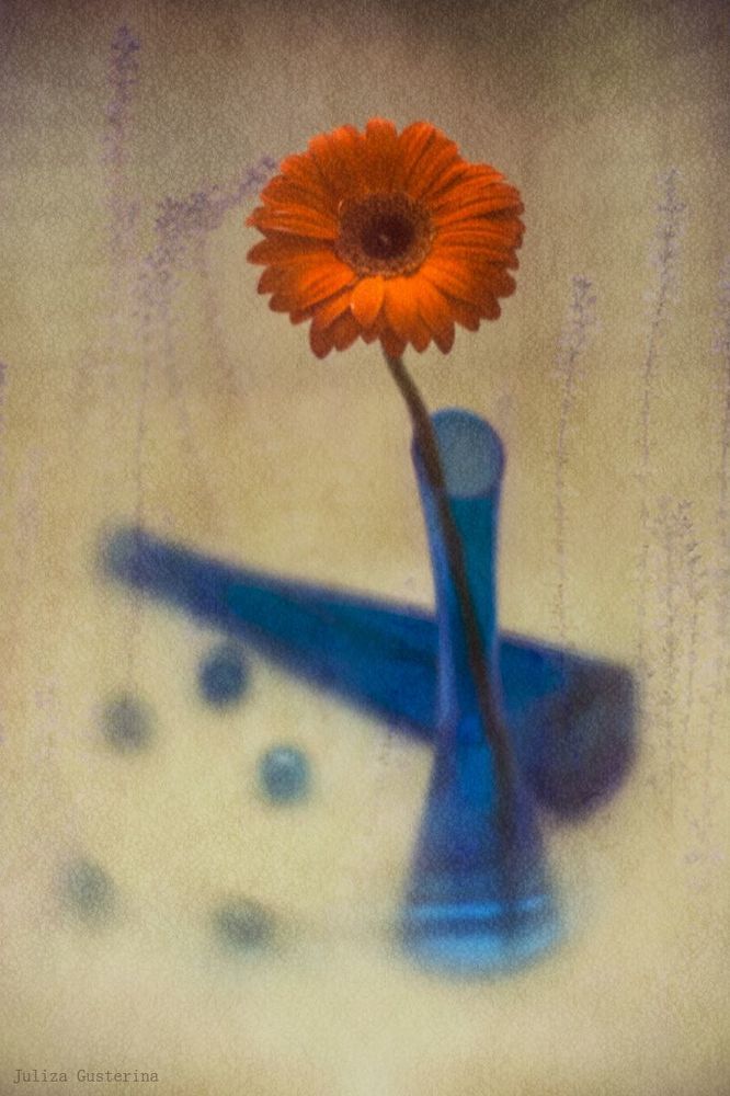 ⋘✿⋙