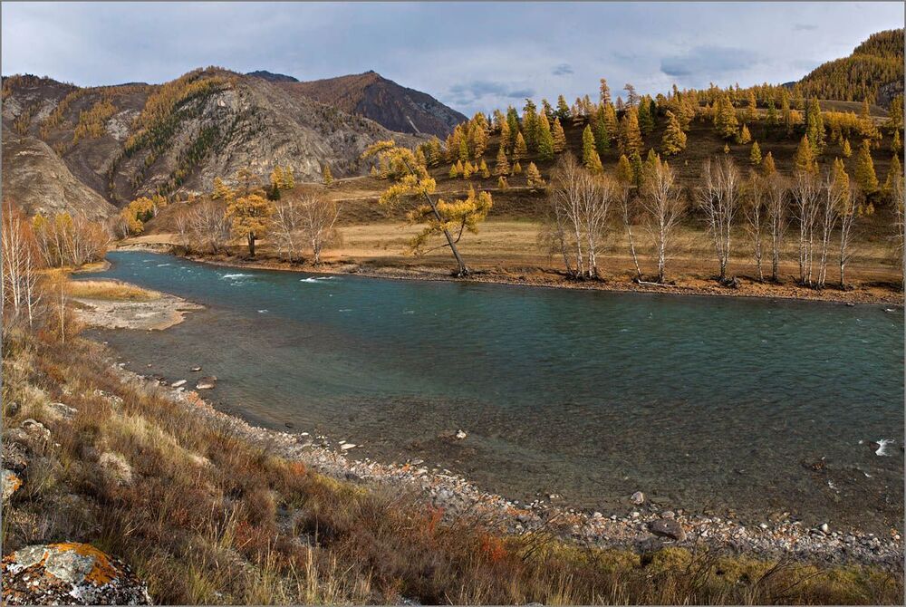 Осенью вода в Чуе становится прозрачной.