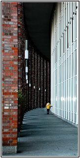 Вдоль белых полос