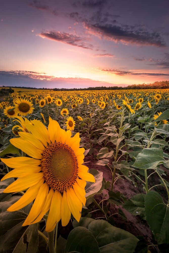 Christiyan Mladenov Photography
