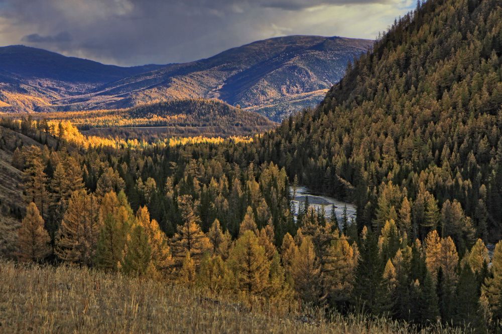 Осень в долине Коксу