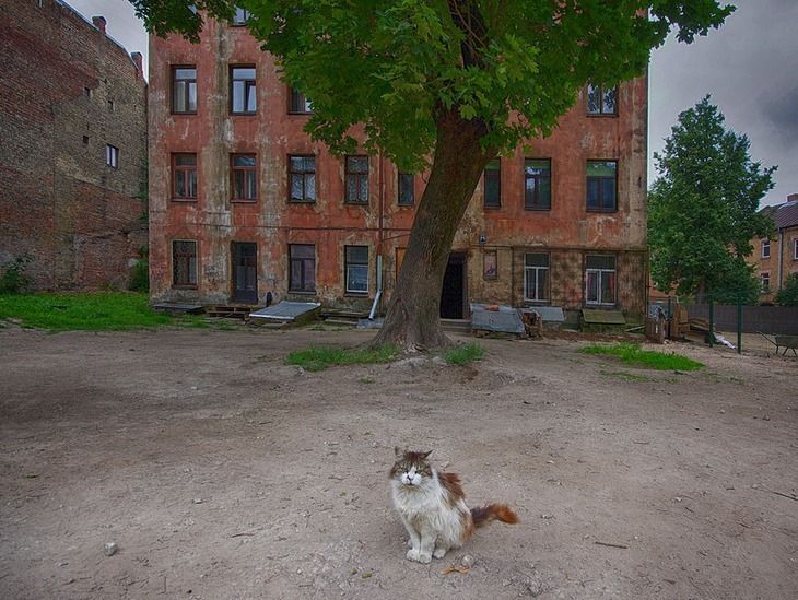 Riga