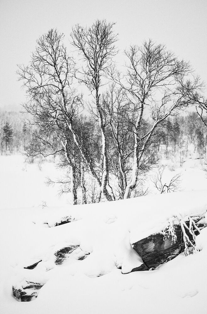 Photo 1062144