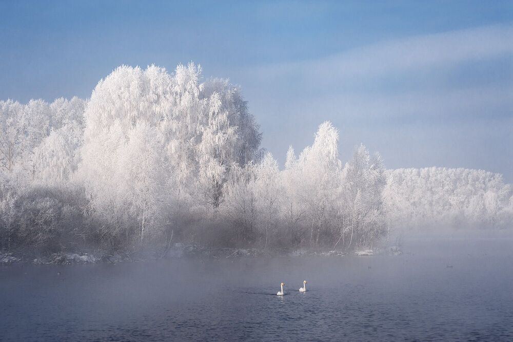 Photo 1062147