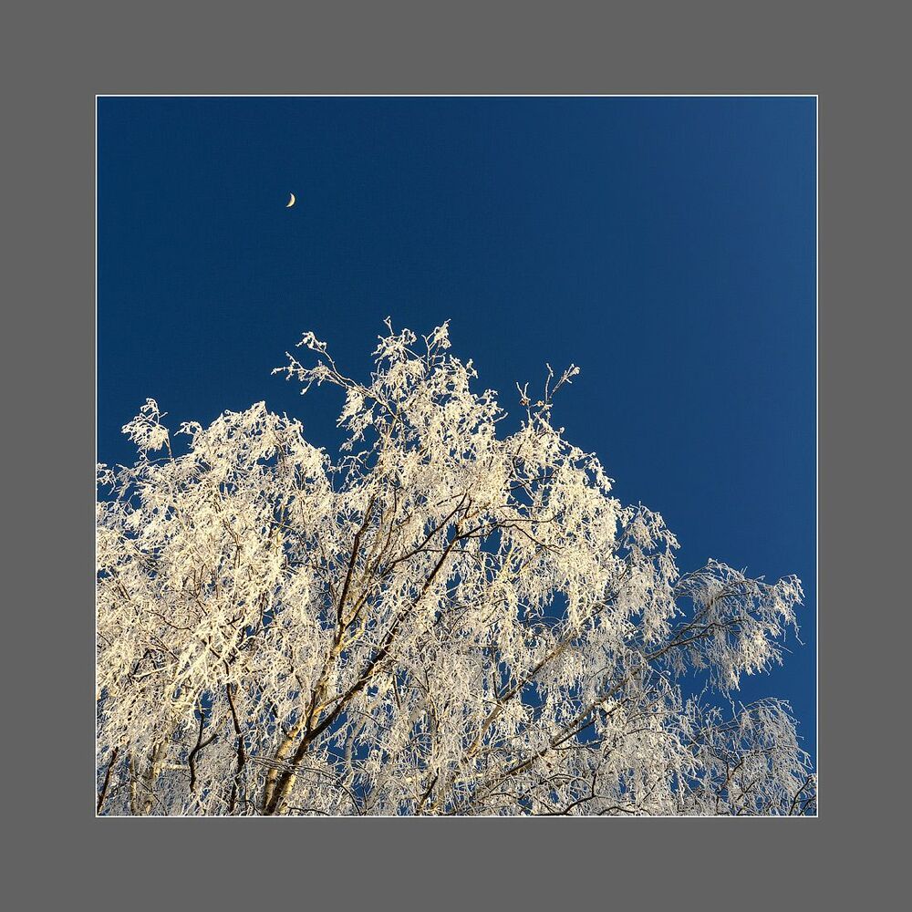 Abstract Nature