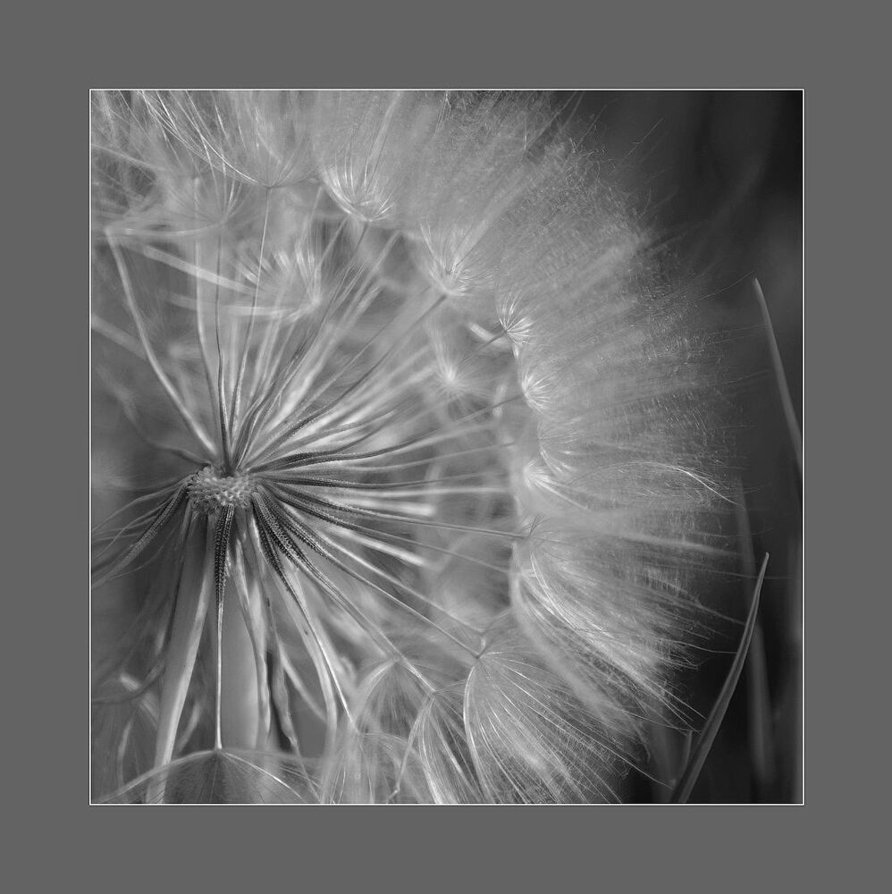 Abstract Nature