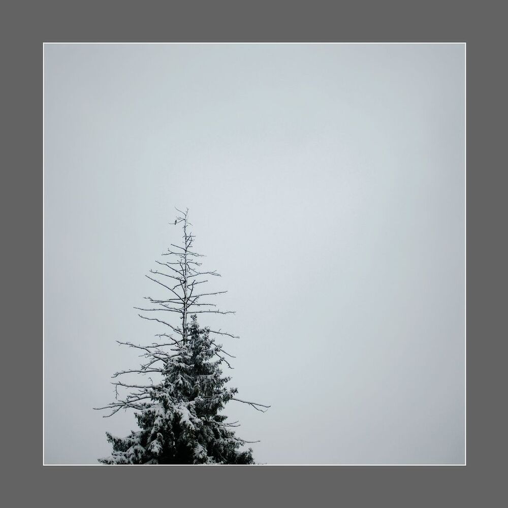Abstract Nature