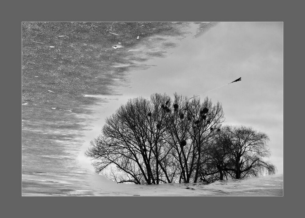 Abstract Nature