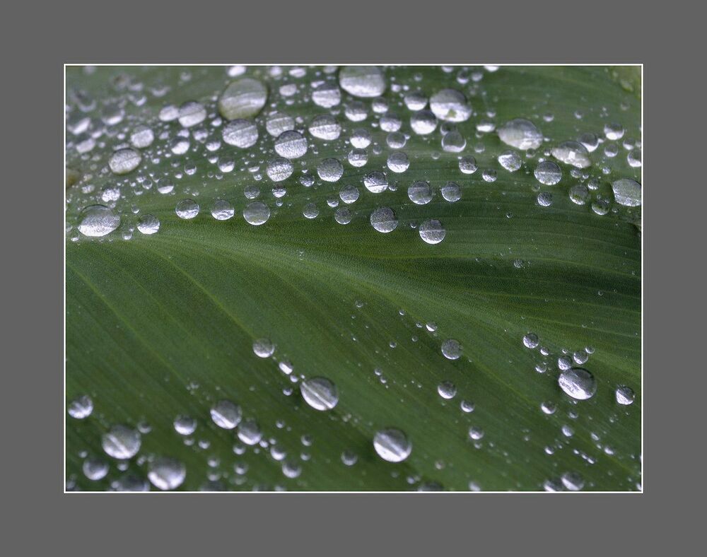 Abstract Nature